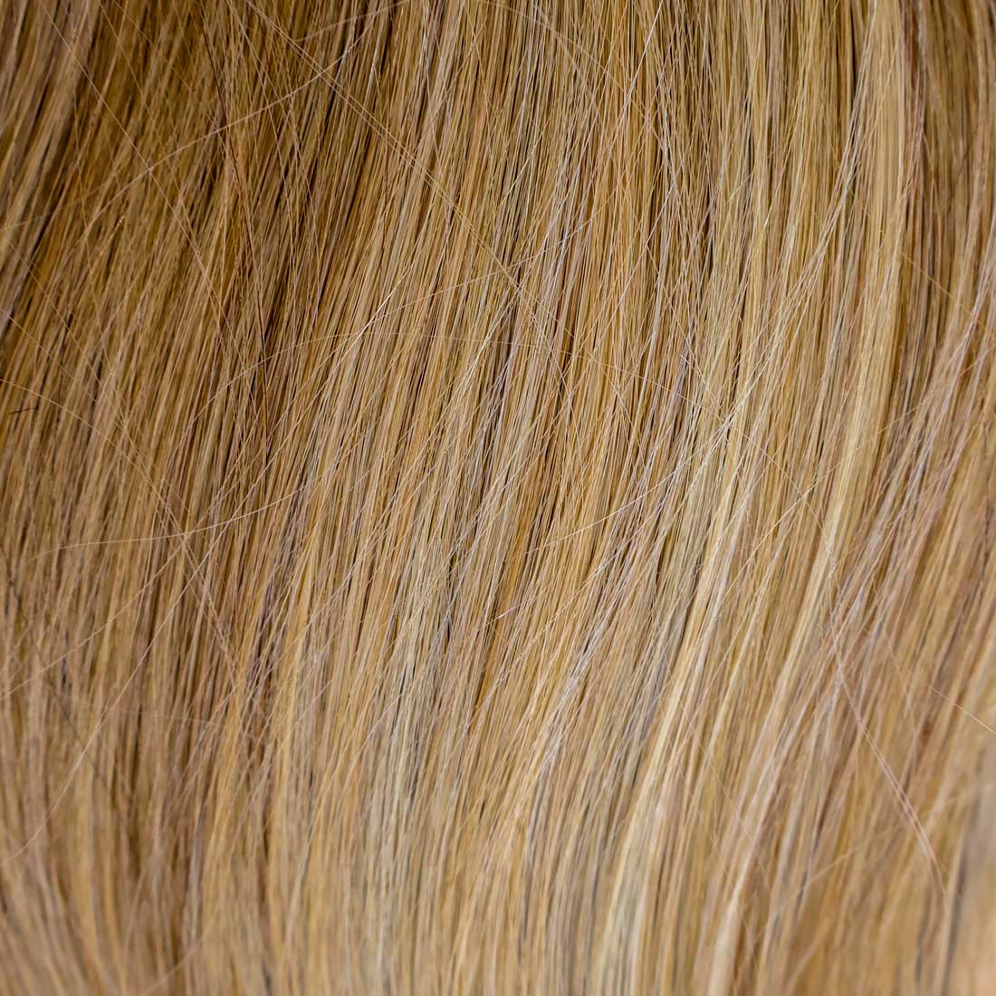 Hestehale extension - Sandyblonde Rooted