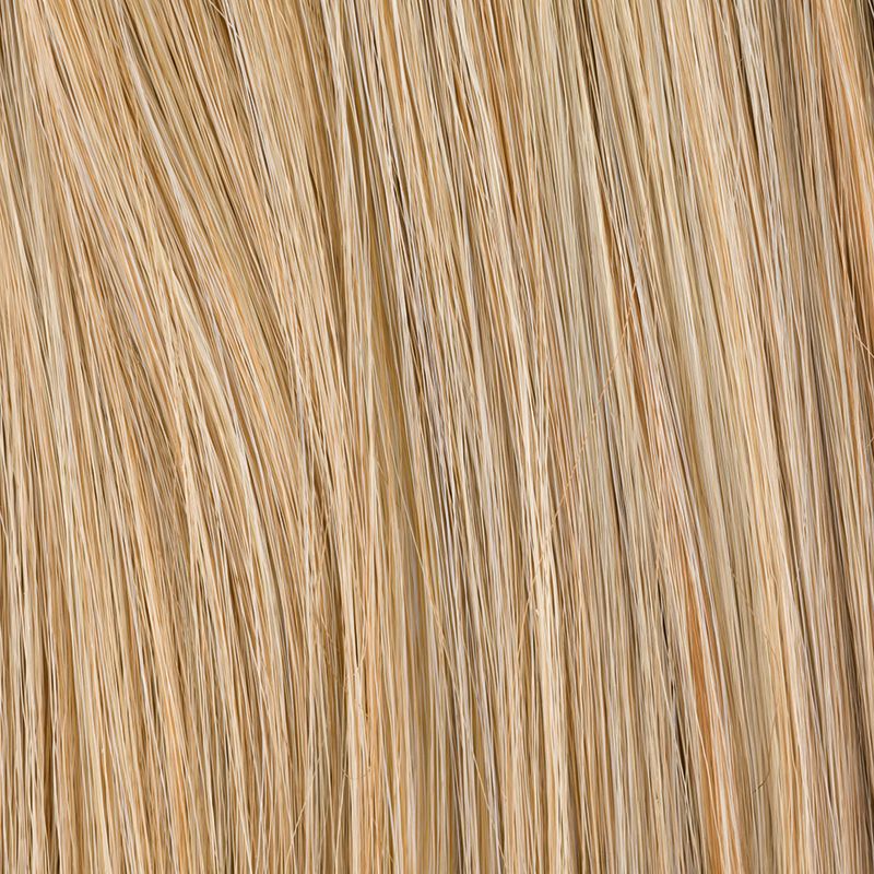 Hestehale extension Sandyblonde Rooted