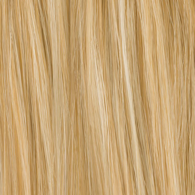 Hestehale extension Champagne Mix